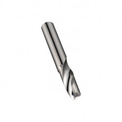 Fraise S637 Werksnorm Lg Total.83mm HM Polished 25 degrés Z.1 DORMER
