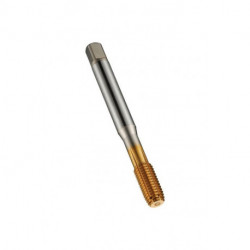 Taraud M10 Form C HSS-E TiN 6HX m.IK