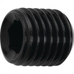 Vis de serrage M16x1x8 d.25 mm PROMAT