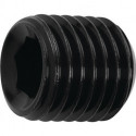 Vis de serrage M16x1x8 d.25 mm PROMAT