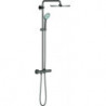 Euphoria 310 Système De Douche Thm