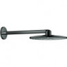 Tête de douche Grohe RSHOW SmAct 310 ha graph