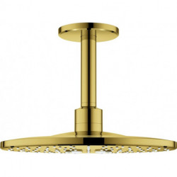 Tête de douche Grohe RSHOW SmAct 310 co sun