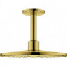 Tête de douche Grohe RSHOW SmAct 310 co sun