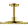 Tête de douche Grohe RSHOW SmAct 310 co sun brossé
