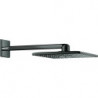 Tête de douche Grohe RSHOW SmAct 310 ha graph