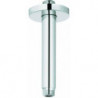 Rainshower Bras De Douche Vertical 142Mm