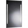 Miroir lumineux premium 450x700mm. éclairage LED