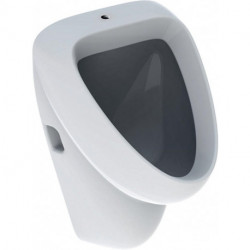 Urinoir Geberit Aller, alimentation apparente, sortie encastrée ou apparente: T:35cm, Sortie:Encastrée ou apparente, Arrivée d'eau:Apparente, Blanc