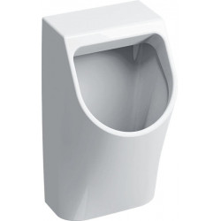Urinoir Geberit Renova Plan, alimentation encastrée, sortie encastrée: T:30cm, Sortie:Encastrée, Arrivée d'eau:Encastrée , Blanc