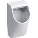 Urinoir Geberit Renova Plan, alimentation encastrée, sortie encastrée: T:30cm, Sortie:Encastrée, Arrivée d'eau:Encastrée , Blanc