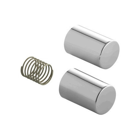 Bouton poussoir et ressort EICHELBERG pour montage encastré 440018