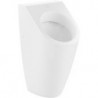 Architectura, Urinoirs, 325 x 680 x 355 mm, alimentation et évacuation cachées, En porcelaine sanitaire Blanc CeramicPlus