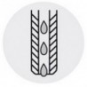 Foret hélicoïdal en carbure monobloc, SuperLine 7 x D, type RT 100 U, DIN 6535, forme HE, surface FIRE, Ø m7 : 11,20 mm, Long. totale 163 mm