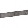 Module thermostatique RainSelect encastréavec 4 fonctions noir chromé brossé