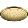 tête de douche Croma 280 1jet aspect doré poli