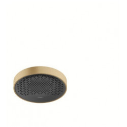 tête de douche 250 1jet bronze brossé