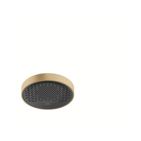 tête de douche 250 1jet bronze brossé