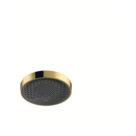 tête de douche 250 1jet EcoSmart aspect doré poli