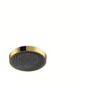 tête de douche 250 1jet EcoSmart aspect doré poli