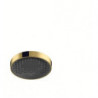 tête de douche 250 1jet EcoSmart aspect doré poli