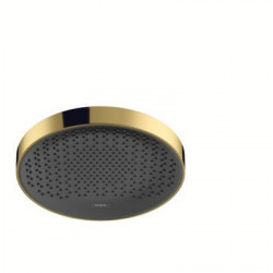 tête de douche 360 1jet aspect doré poli