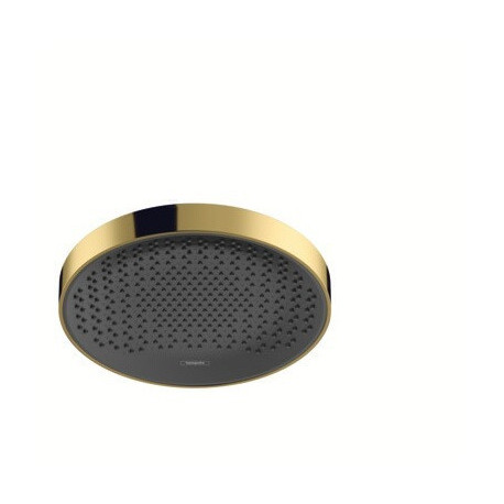 tête de douche 360 1jet aspect doré poli