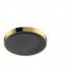 tête de douche 360 1jet aspect doré poli