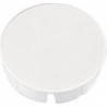 Cache 35mm plastique blanc (Par 100)
