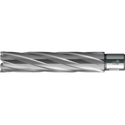 Foret trépan HKE-L Weldon HM extralong 20/110 mm BDS