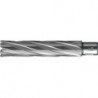 Foret trépan HKE-L Weldon HM extralong 21/110 mm BDS
