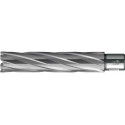 Foret trépan HKE-L Weldon HM extralong 27/110 mm BDS