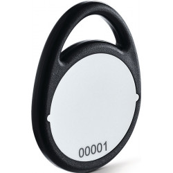 Porte-clés du système de contrôle d'accès Transpondeur RFID noir MIFARE DESFireEV2