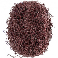 Disque abrasif en non-tissé POLINOX® D. 40 mm moyen 100 marron PFERD (Par 100)