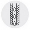 Fraise à fileter GFS en carbure monobloc, arrosage central, 2 x d, fini brillant, Filetage : M12, Pas 1,75 mm, Lames de l1 25,3 mm