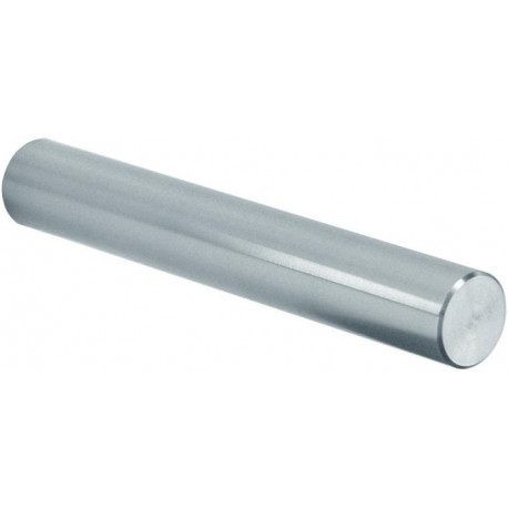 Porte-rouleau WC CWS ObjectLine Inox