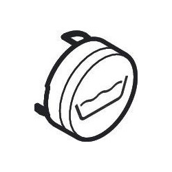 Bouton poussoir HG Symbol tête de douche Rain klein