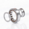 Roulements à billes rouleaux cylindriques NUB205 E ZEN