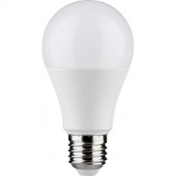 Ampoule LED 6W (40W) E27 470lm 200° 2700K