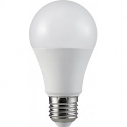 Ampoule LED 12W (75W) E27 1055lm 200° 2700K