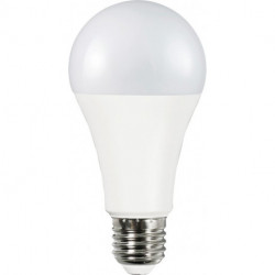 Ampoule LED 13W (100W) E27 520lm 200° 2700K