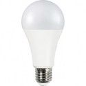 Ampoule LED 13W (100W) E27 520lm 200° 2700K