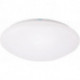 Applique/plafonnier LED 24W K einstellbar Wandsbek (Par 4)