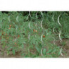 Tuteur tomates 150 cm Ø 68 mm zingué (Par 10)