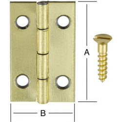 Charnière boite.20x12mm laiton plaqué. 4 unités