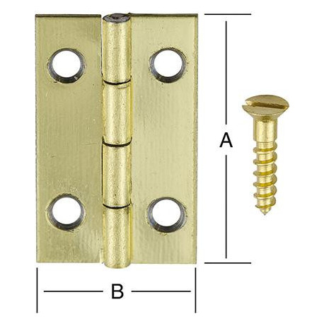 Charnière boite.20x12mm laiton plaqué. 4 unités