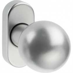 Bouton sur rosace. 2033/5010.couleur argent