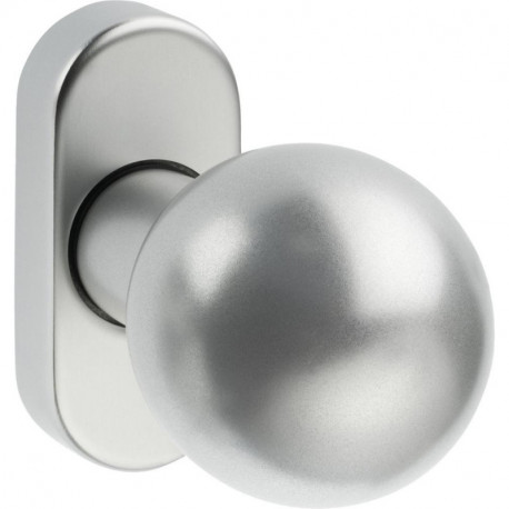 Bouton sur rosace. 2033/5010.couleur argent