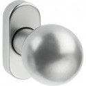 Bouton sur rosace. 2033/5010.couleur argent