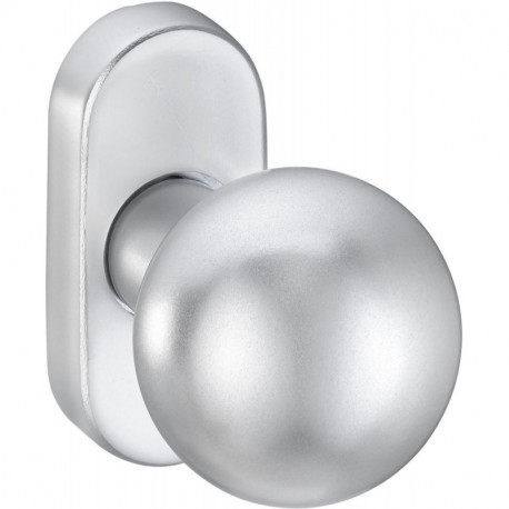 Bouton sur rosace. 2033/5020.couleur argent